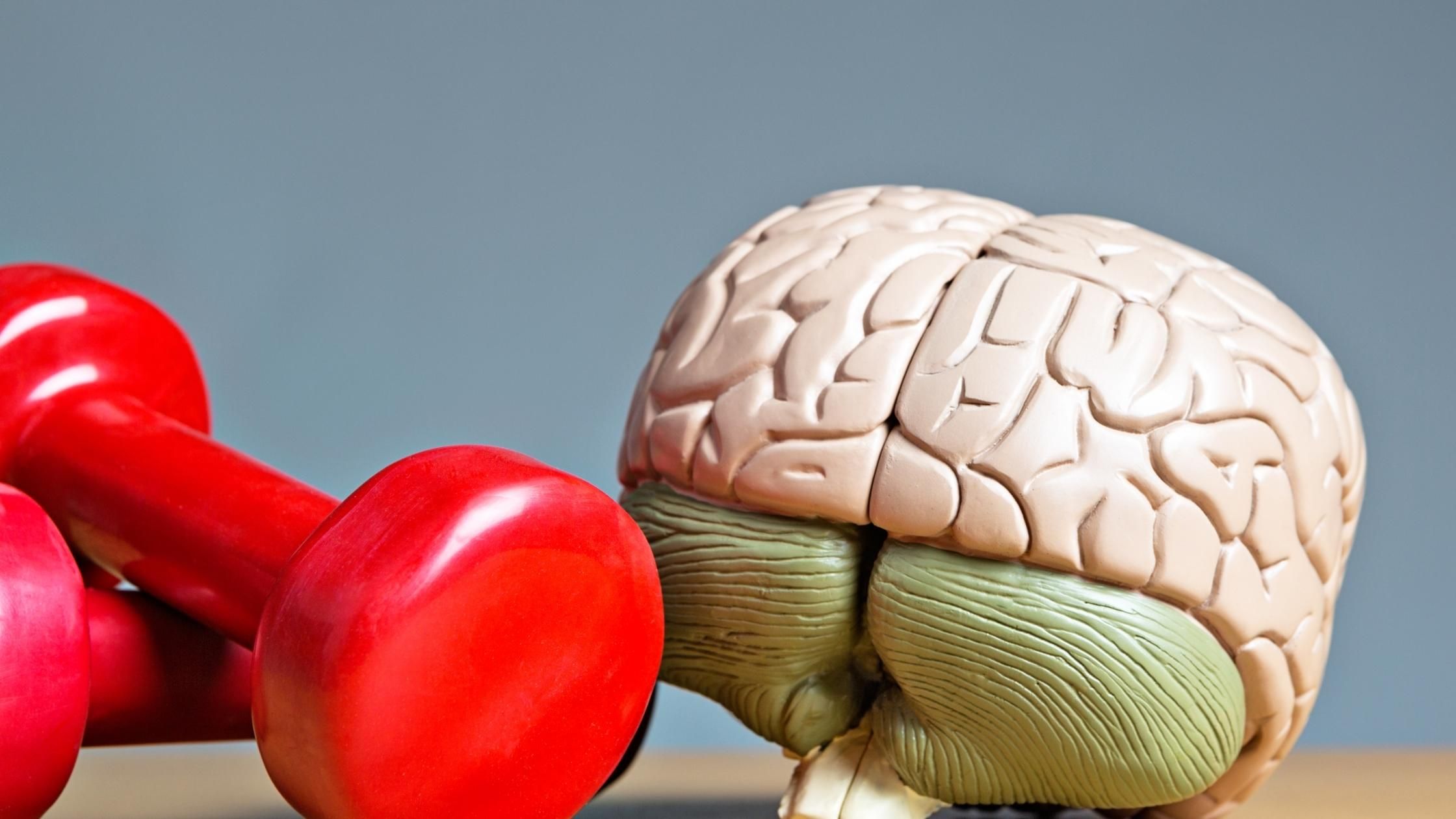 cerebro, emocional, inteligencia, mentes brillantes, neurociencia, neuromarketing, neurotrasmisores, salud mental