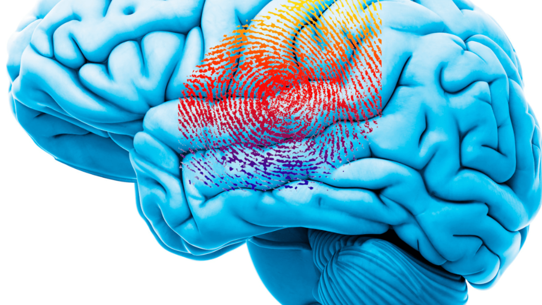 Construye tu Neuromarca